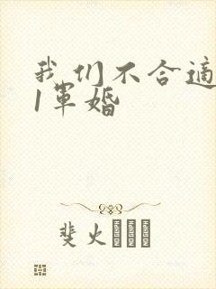 我们不合适1v1军婚