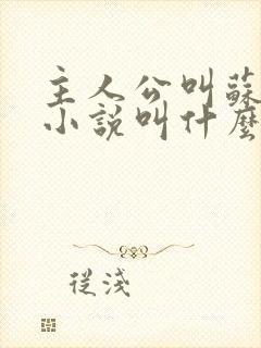 主人公叫苏柔的小说叫什么