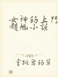 女神的上门豪婿赵旭小说