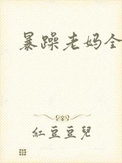 暴躁老妈全集封面