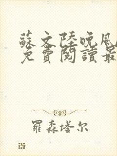 苏文陆晚风小说免费阅读最新章节