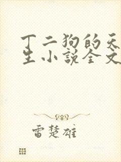 丁二狗的天梯人生小说全文免费阅读