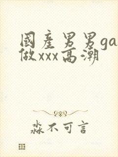 国产男男gay做xxx高潮