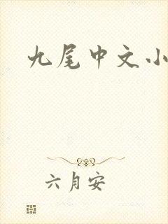 九尾中文小说网