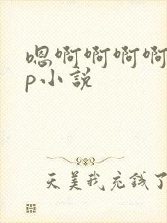 嗯啊啊啊啊啊np小说封面