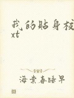 我的贴身校花txt封面