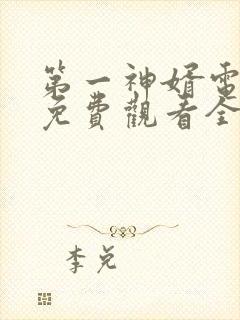 第一神婿电视剧免费观看全集高清