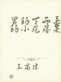 男的下面长白色的小疙瘩是什么原因