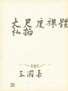 大尺度裸体国模私拍封面