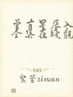 曾有星辰入我梦全集在线观看