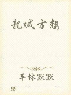 龙城方想封面