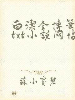 白洁全传笔趣阁txt小说网站在线阅读