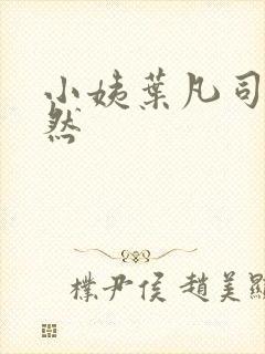 小姨叶凡司徒嫣然