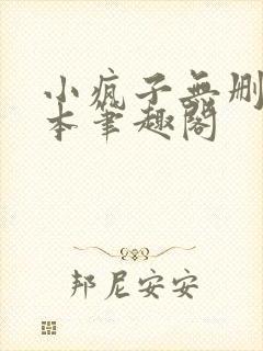 小疯子无删减版本笔趣阁