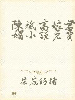 陈斌高婉君赵心媚小说免费封面