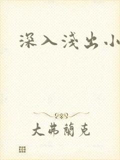 深入浅出小说