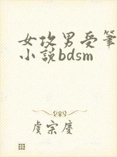 女攻男受笔趣阁小说bdsm