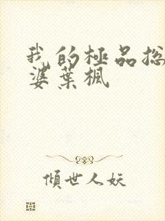 我的极品总裁老婆叶枫