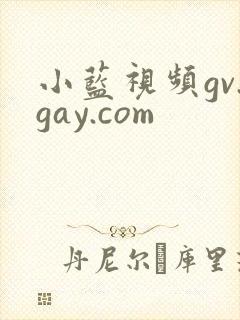 小蓝视频gv.gay.com