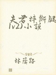 夫君摔断腿后(1v2)小说