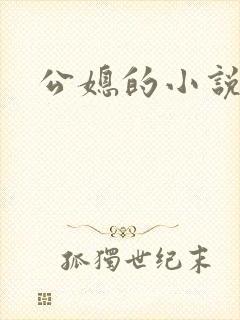 公媳的小说