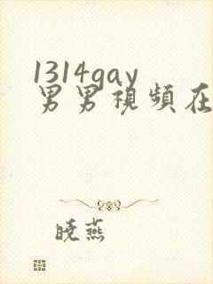 1314gay男男视频在线观看
