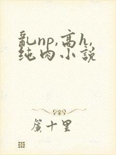 乱np,高h,纯肉小说