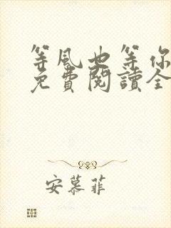 等风也等你小说免费阅读全文封面