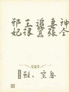 邪王追妻神医狂妃很嚣张全文免费封面