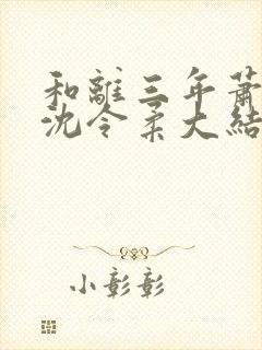 和离三年萧清濯沈令柔大结局