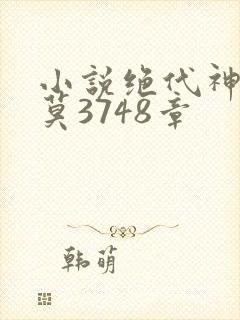 小说绝代神主苏莫3748章