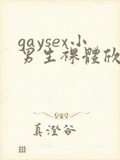 gaysex小男生裸体欣赏photo封面