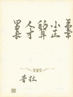 男人的小弟弟多长才算正常封面