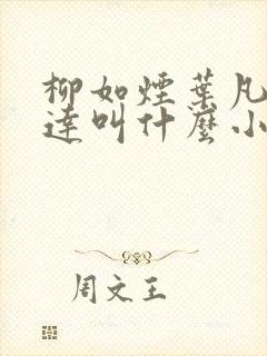 柳如烟叶凡季博达叫什么小说