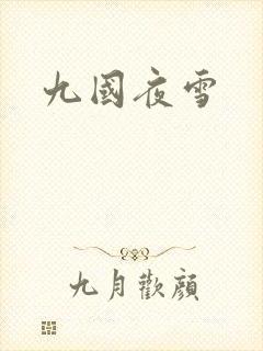 九国夜雪封面