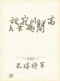 甜宠play高h笔趣阁