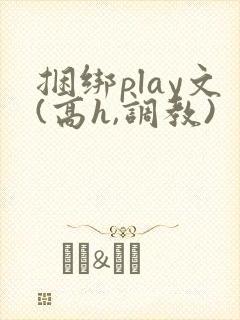 捆绑play文(高h,调教)封面