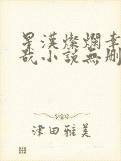 星汉灿烂幸甚至哉小说无删减