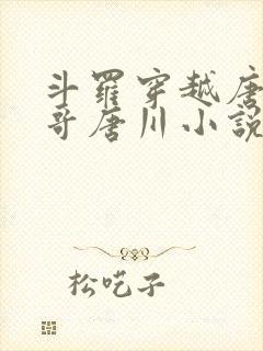 斗罗穿越唐三亲哥唐川小说