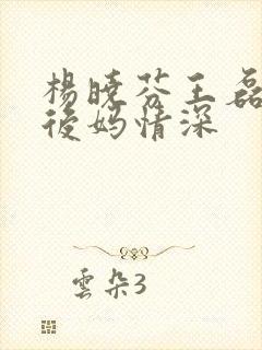 杨晓芬王磊小说后妈情深