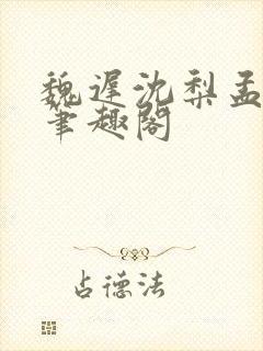 魏迟沈梨孟灵薇笔趣阁封面