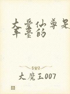 大爱仙尊是哪个平台的