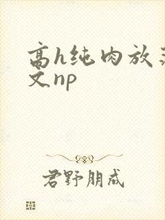 高h纯肉放荡h文np