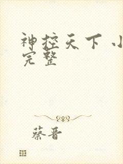 神控天下 小说完整