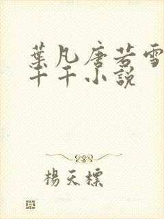 叶凡唐若雪医婿千千小说