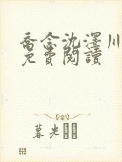 乔念沈泽川全文免费阅读封面