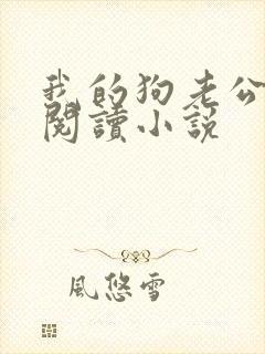 我的狗老公在线阅读小说