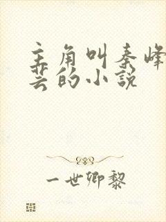 主角叫秦峰胡佳芸的小说