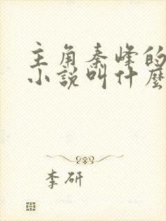 主角秦峰的官场小说叫什么名字啊