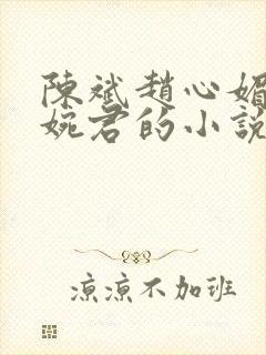 陈斌赵心媚和高婉君的小说免费阅读